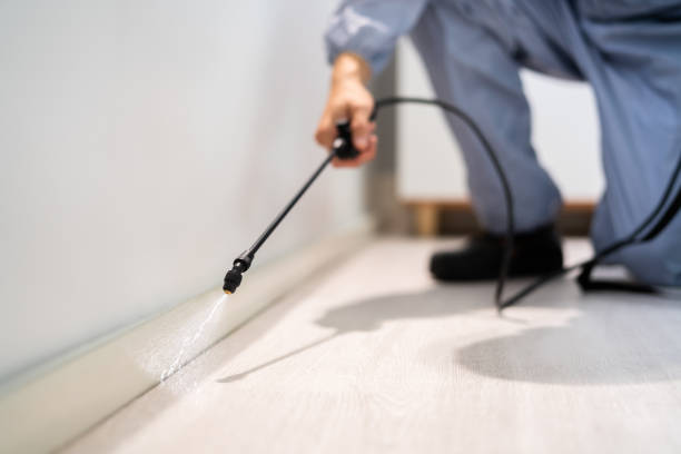 Licensed Pest Control service in La Homa, TX - Show Me Pest Control
